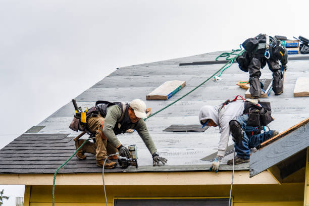 Professional Roofing technician working in Arlington Heights, WA